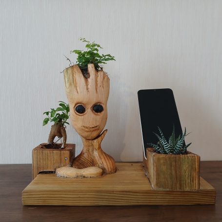 Réalisation d'un jardin intérieur support de téléphone